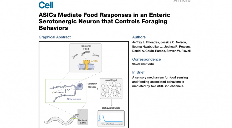 New Paper Out Today!